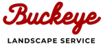 Buckeye