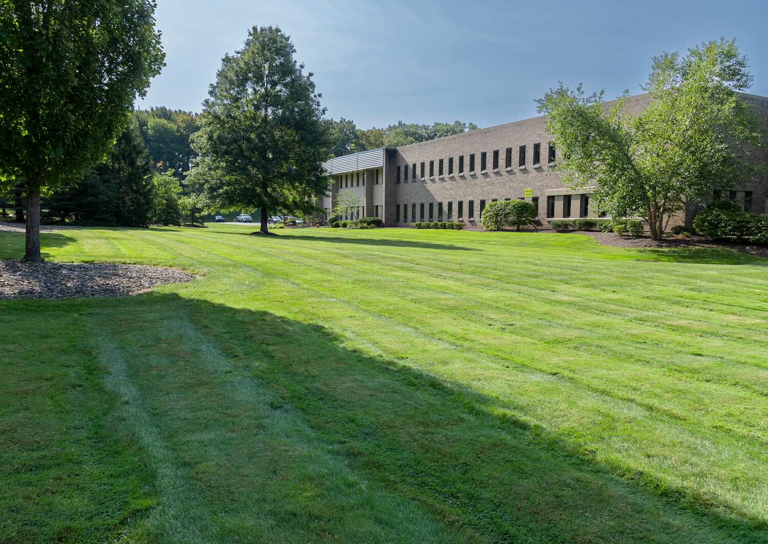 Maintained lawn and trees at a corporate campus in Ohio