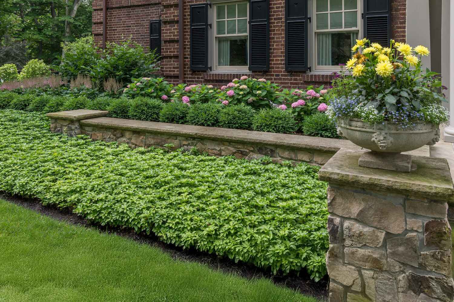 Stone retaining wall with boxwood plantings in front of a brick home