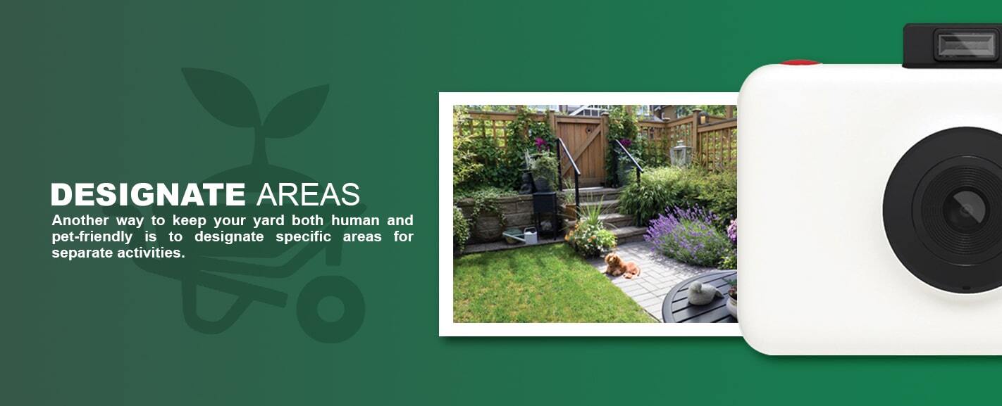 An illustrated camera facing the viewer with a photograph sitting behind it of a smaller brown dog sitting at the bottom of a staired and fenced entrance to a personal garden, with text to the left of the design reading "Designate Areas Another way to keep your yard both human and pet-friendly is to designate specific areas for separate activities."