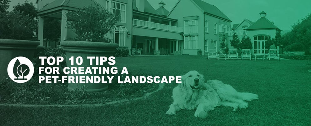 A green toned image of a golden retriever laying down by a flower bed with the backyard of a large house behind it, with a simple white tree graphic overtop with text reading 