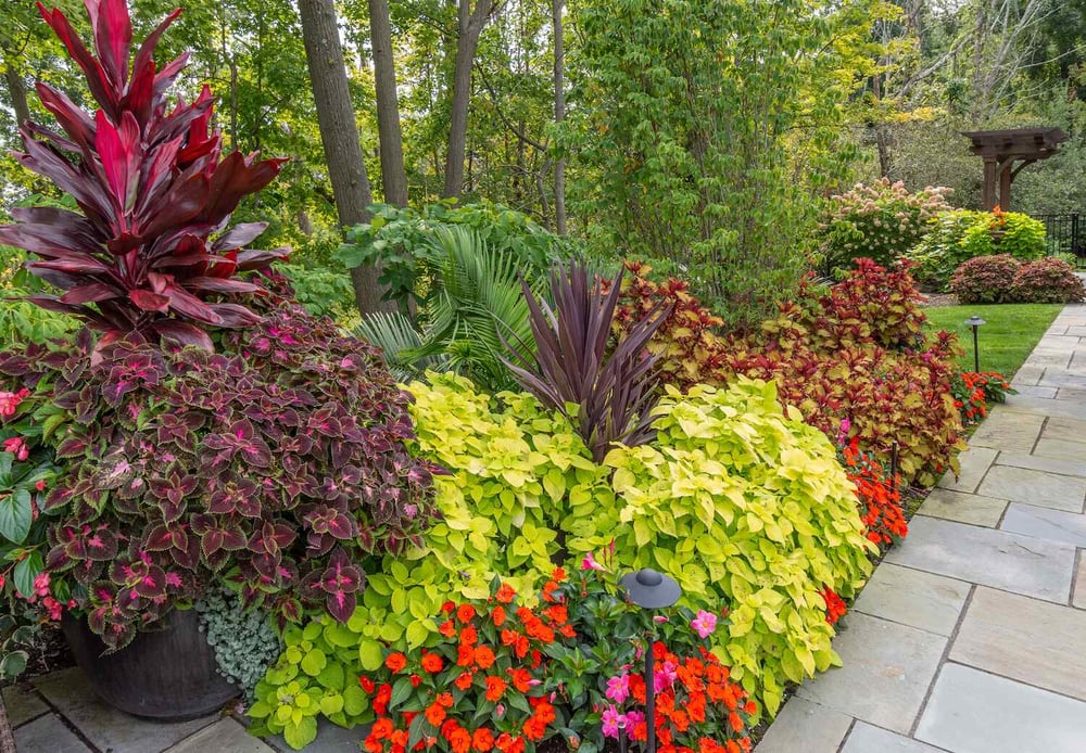 Top-rated lawn service near me in Aurora, OH for lush, green lawns all year round