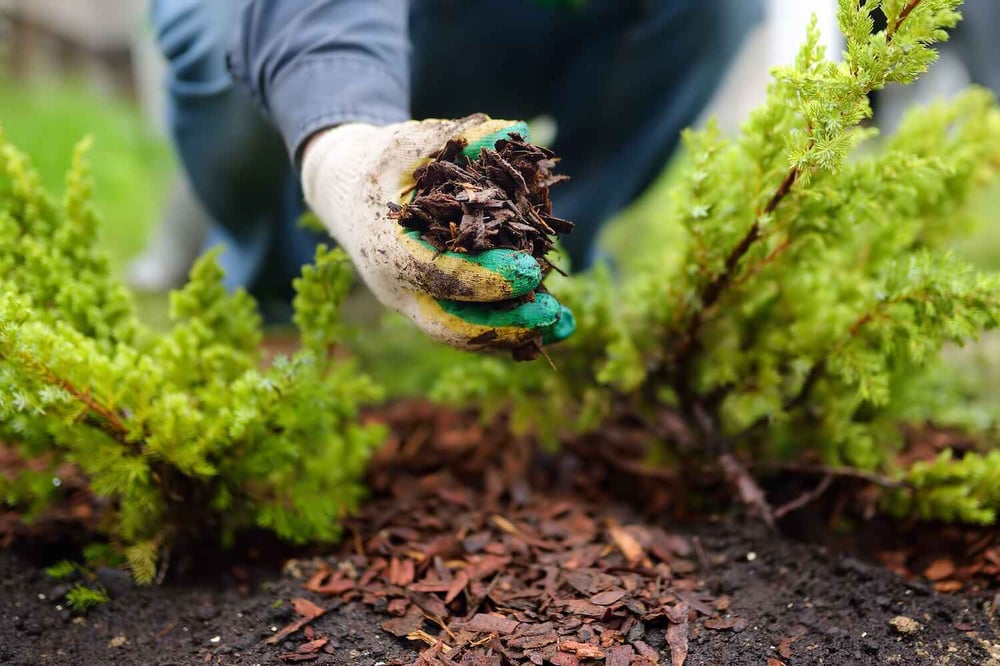 Weed-free garden bed maintenance in Beachwood, OH ensuring a pristine outdoor space