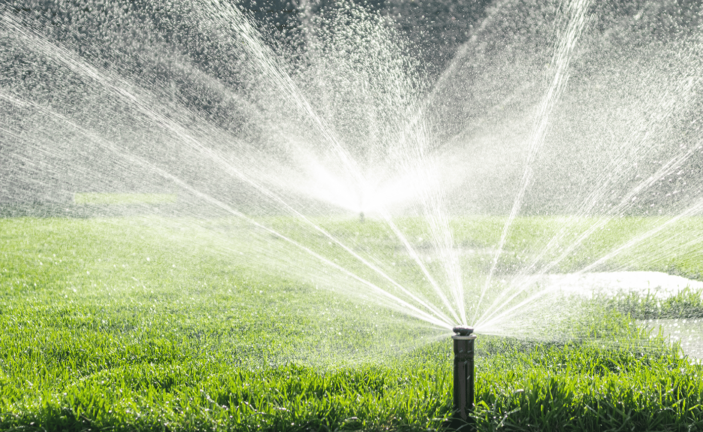 Pop-up sprinkler watering a residential lawn