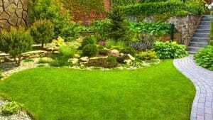 Landscape Plant Protect and Feed