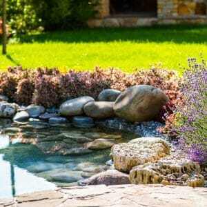 Serene Landscaping