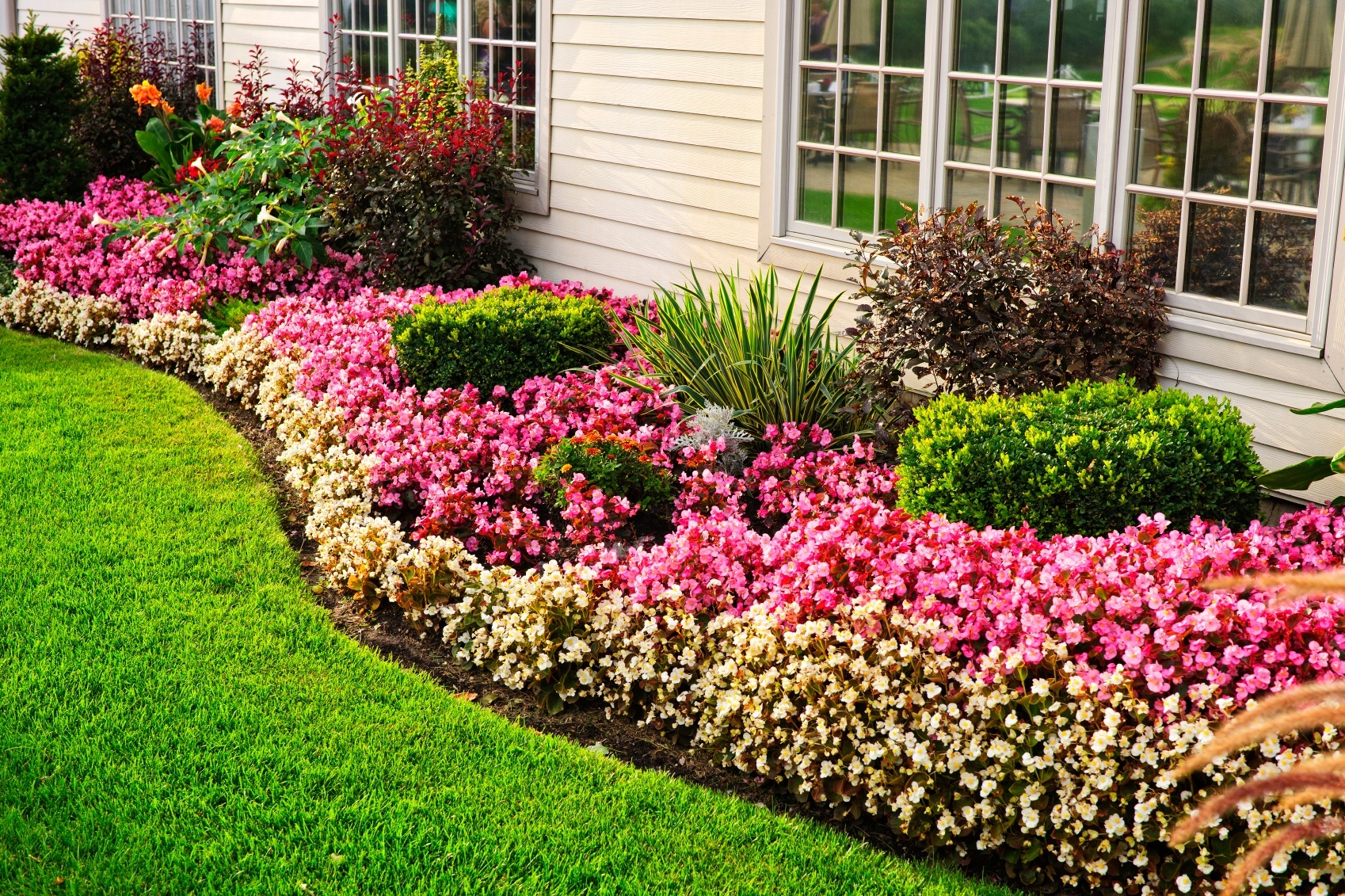 Curving flower bed of pink and red annuals along a manicured lawn