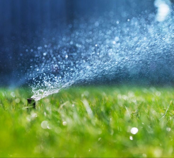 Sprinkler spraying water over a lawn