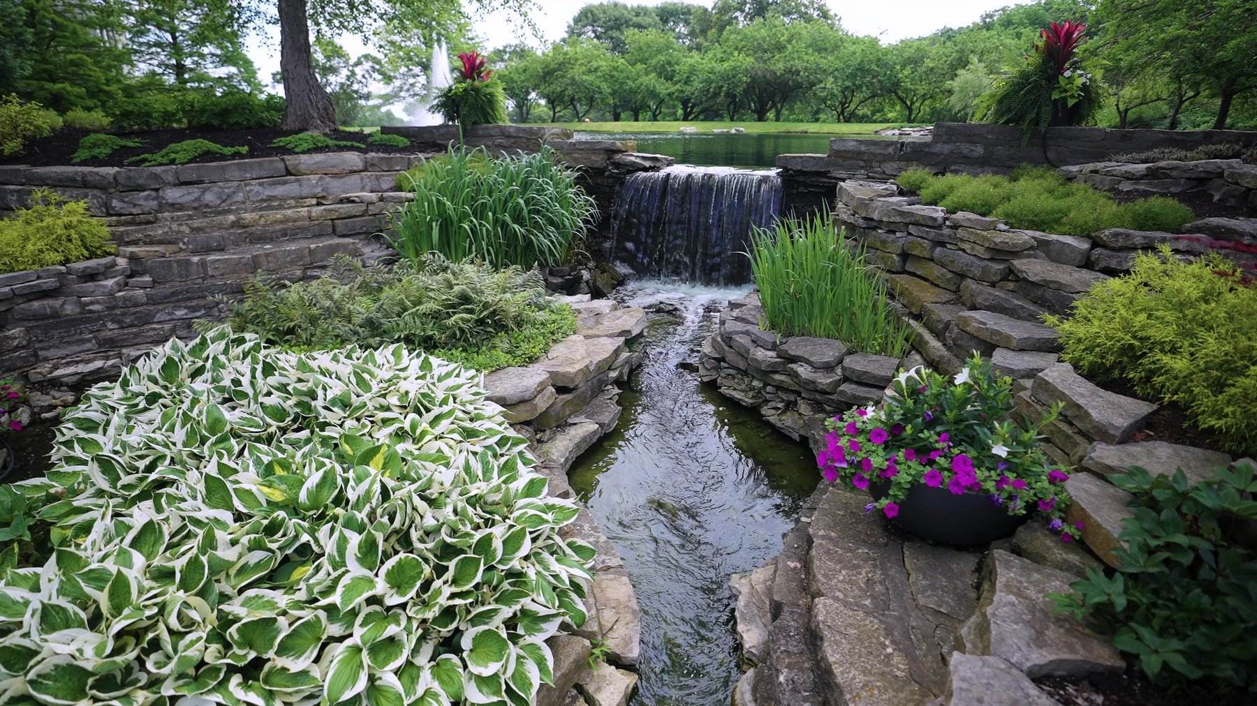 Pond and stream water feature surrounded by plantings