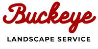 Buckeye