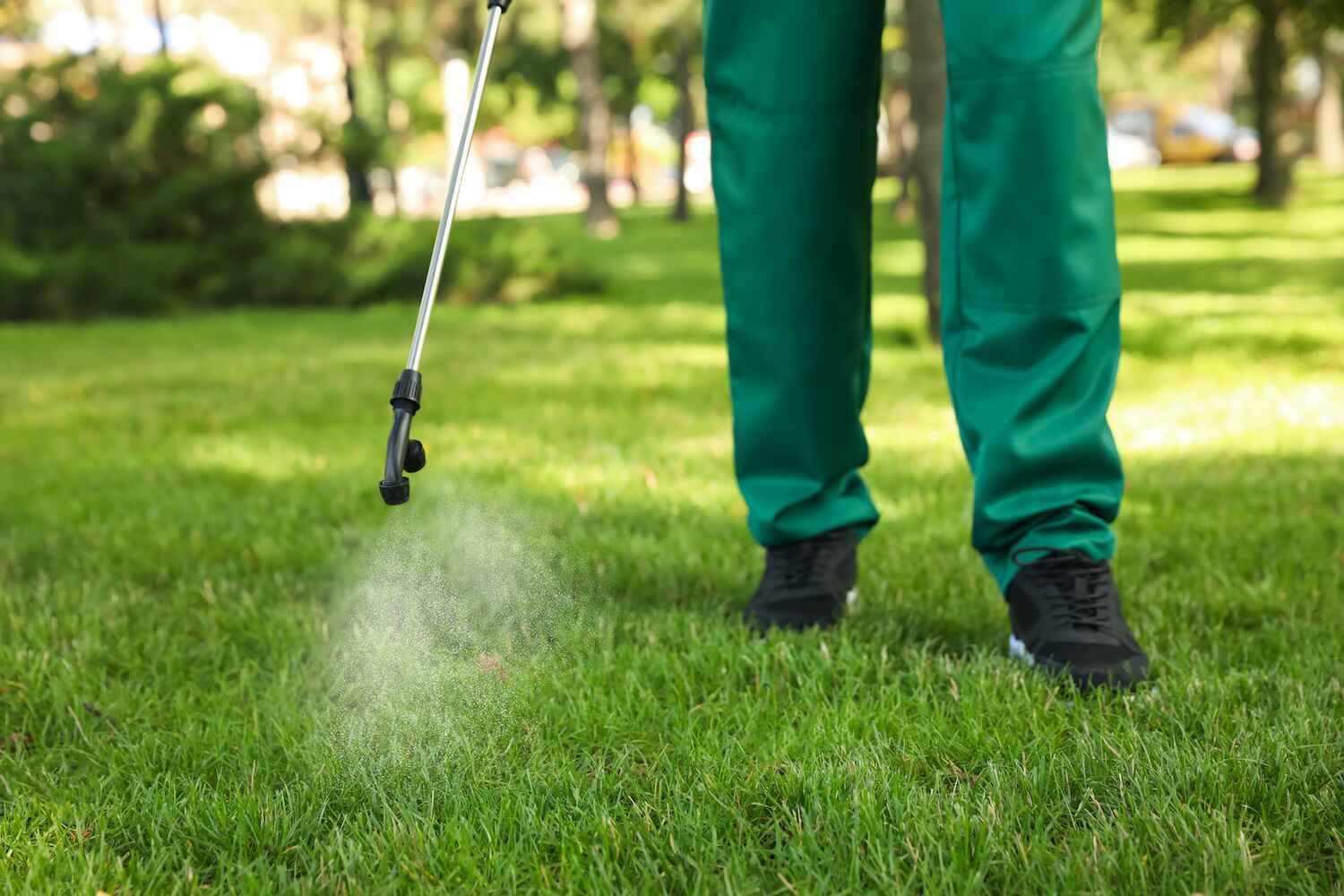 Weed control and fertilizer application on a home lawn