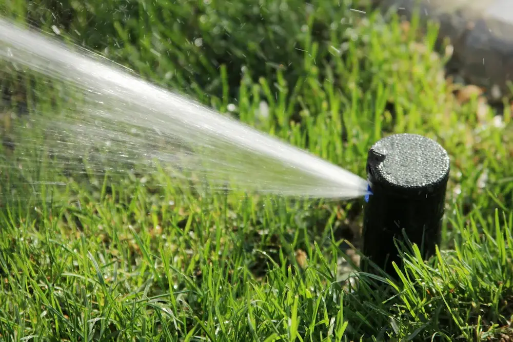 Rotary sprinkler head watering turf
