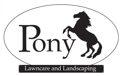 Pony