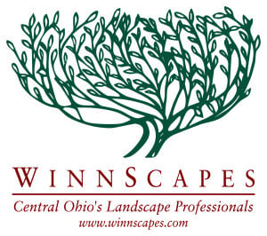 Winnscapes